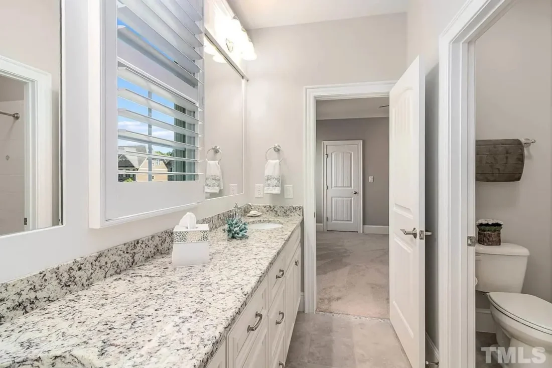 Elegant house Plan with CAD Designs and Traditional Blueprint