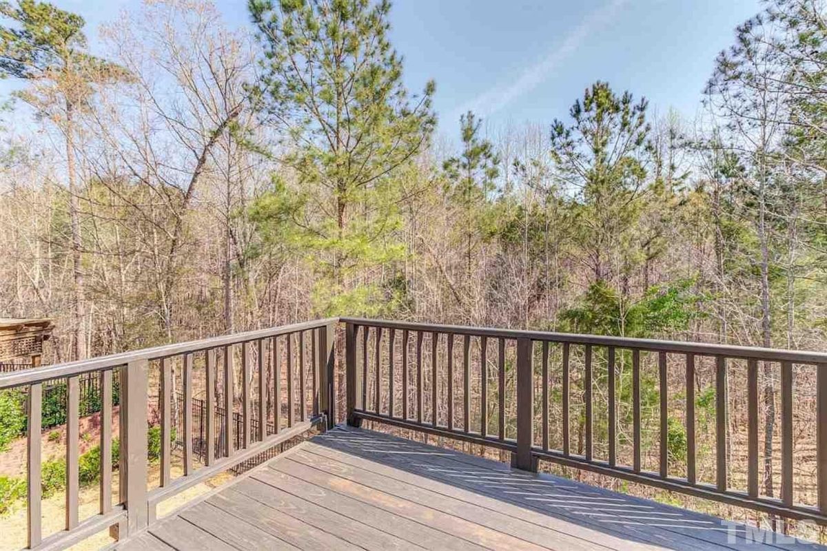 Charming Craftsman house Plan with Blueprint Designs & Features