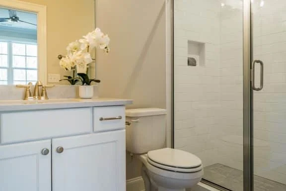 Elegant house Floor Plan with Spacious Designs and CAD Blueprints