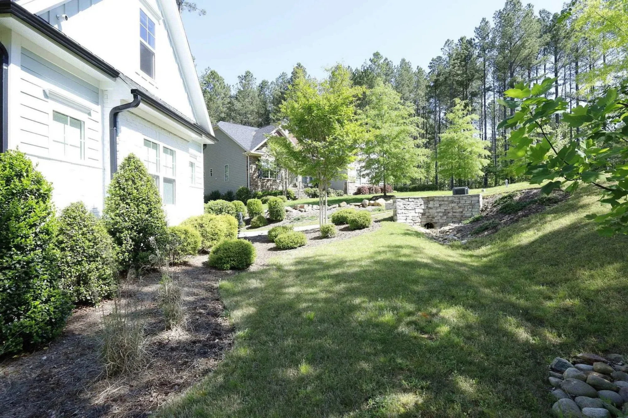 Spacious house Plan with Blueprint and CAD Designs