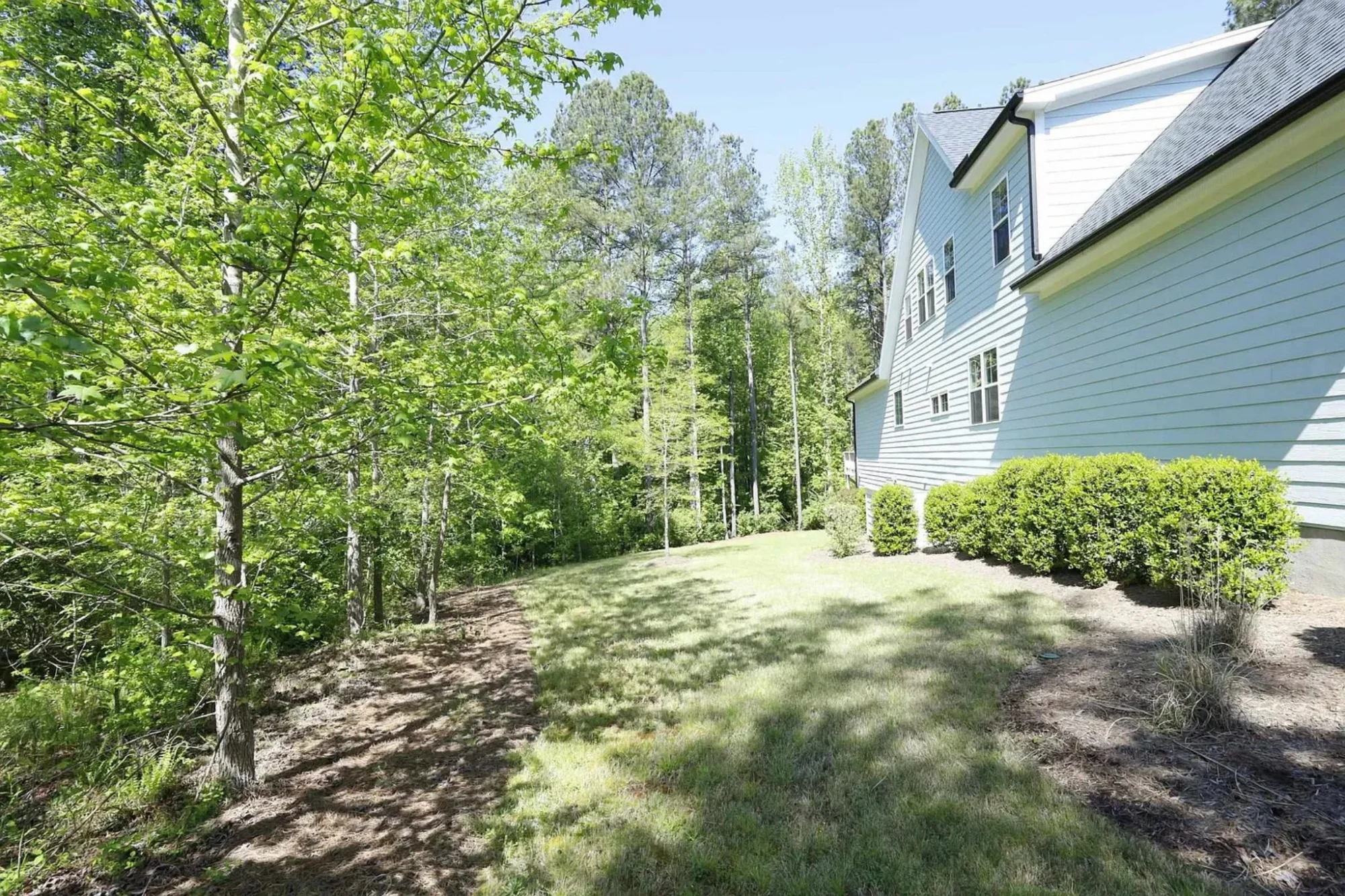 Spacious house Plan with Blueprint and CAD Designs