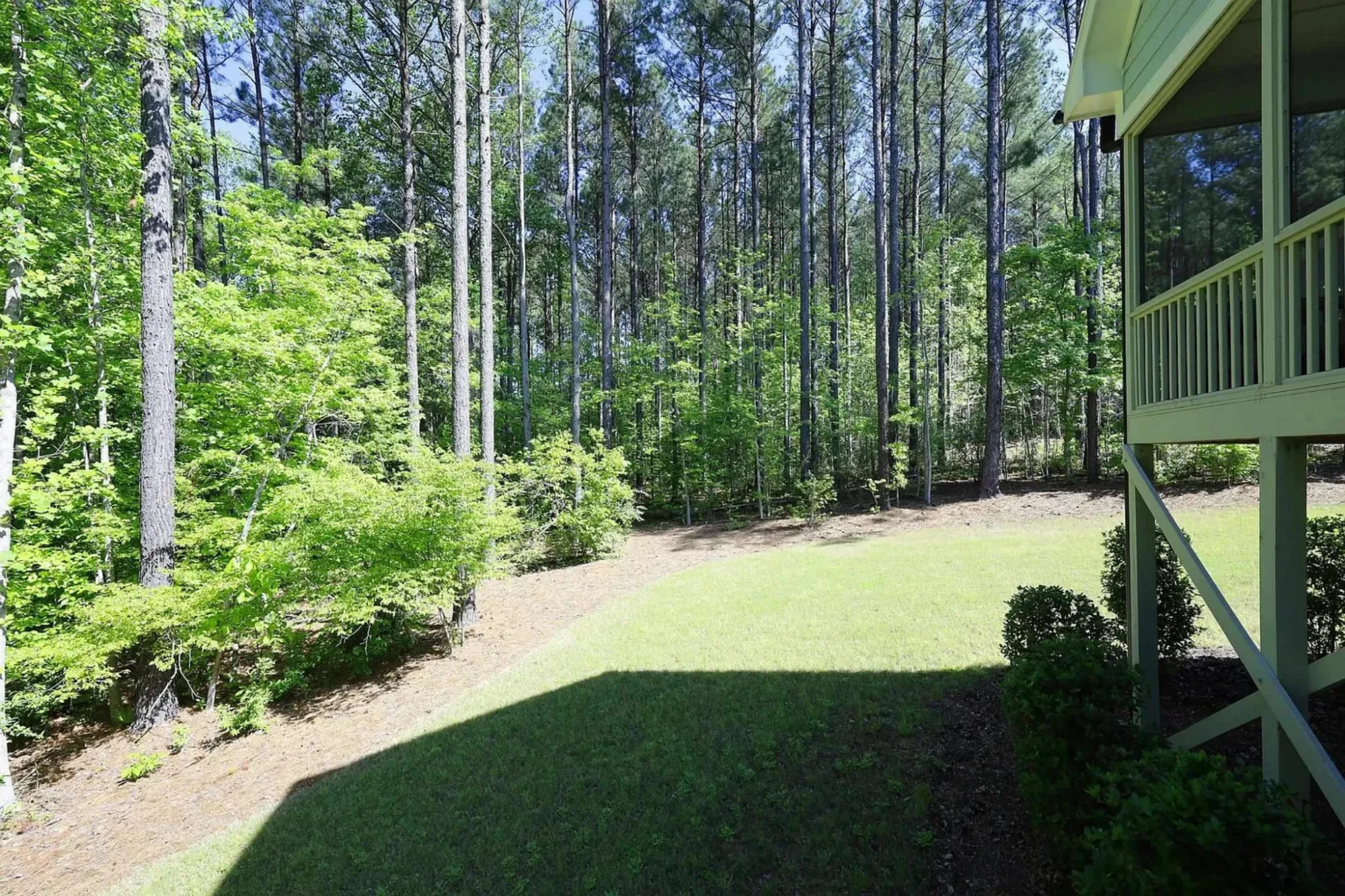 Spacious house Plan with Blueprint and CAD Designs