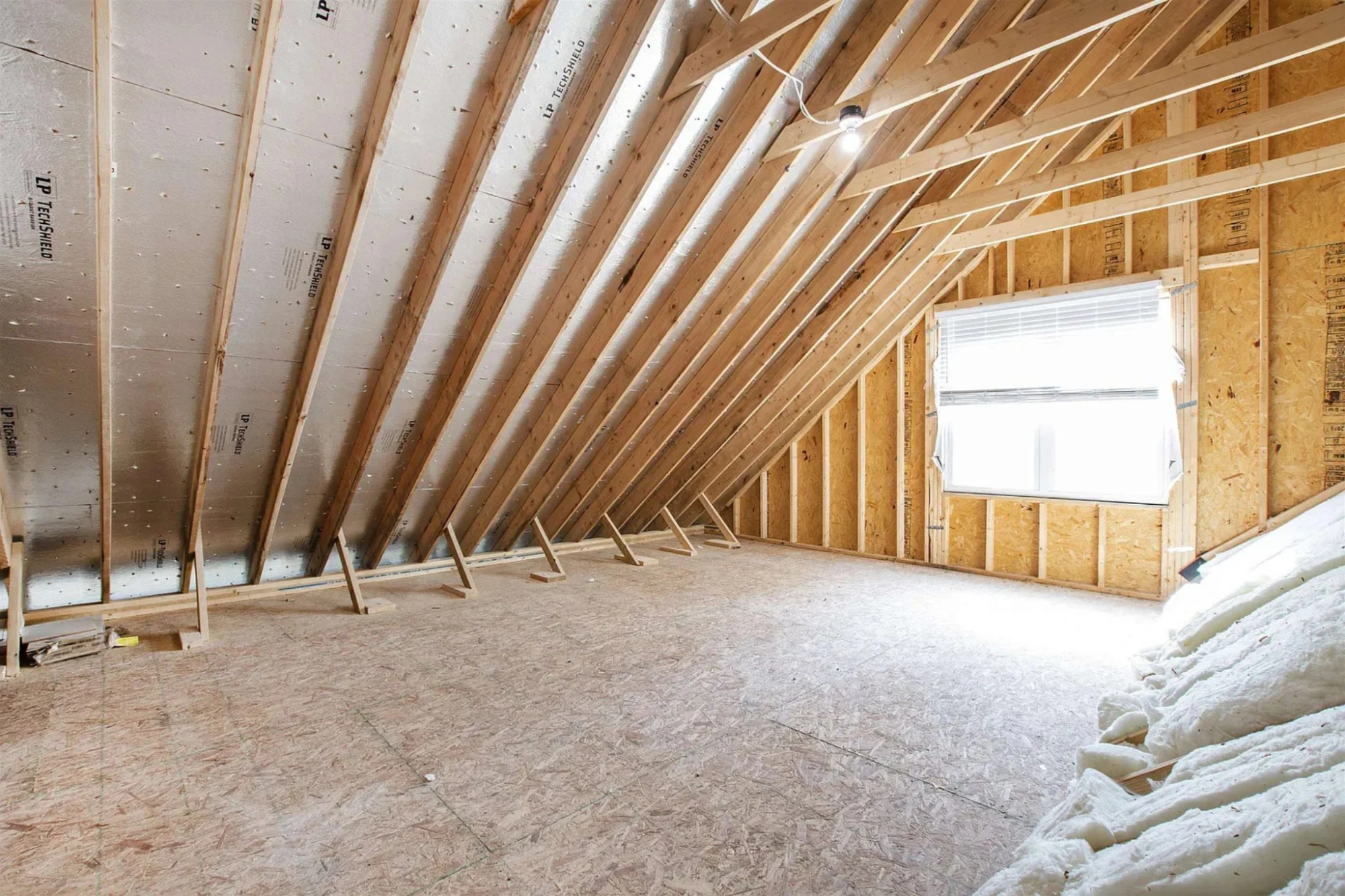 Spacious house Plan with CAD Blueprints & Modern Designs