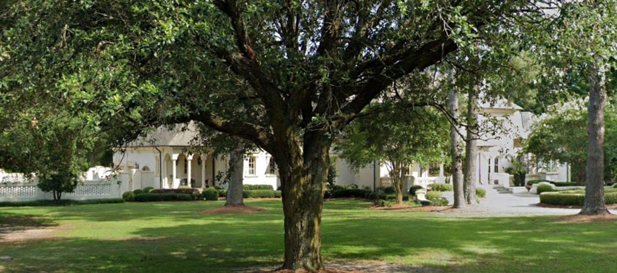 Luxury house Plan with Stunning Floor Plan, CAD Designs & Blueprint