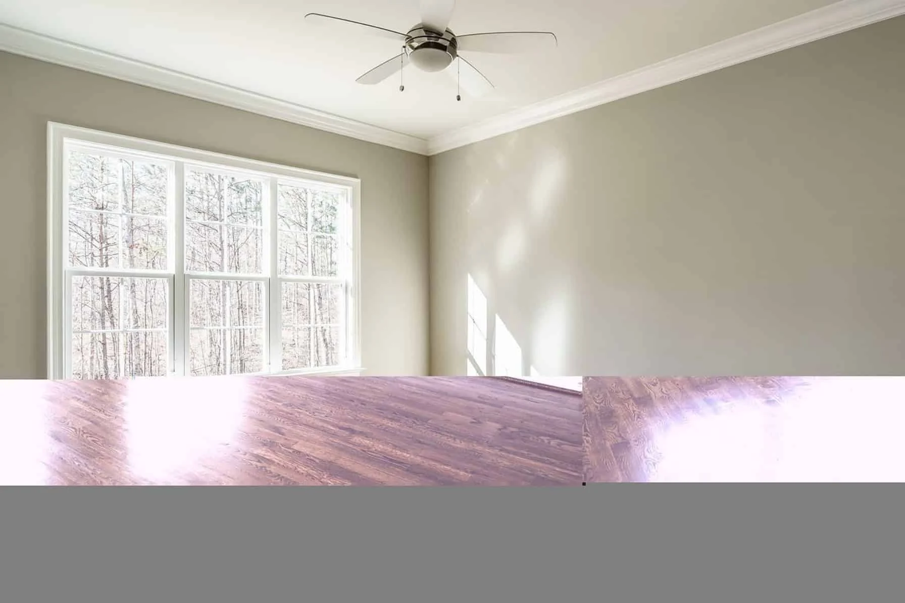 Traditional Craftsman house Plan with Spacious Floor Designs