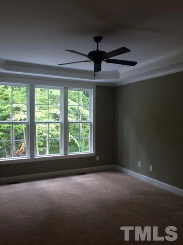 Elegant house Plan with Custom Designs & CAD Blueprints