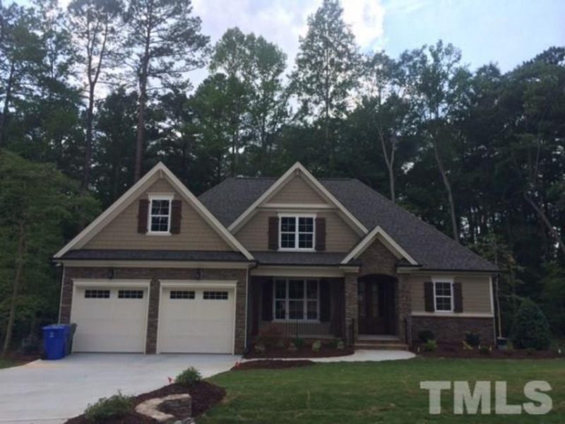 Elegant house Plan with Custom Designs & CAD Blueprints