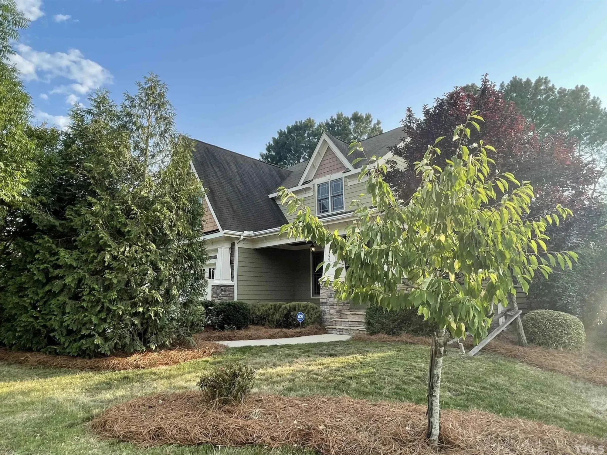 Craftsman house Plan with 4 Bedrooms and Vaulted Ceilings - CAD Design